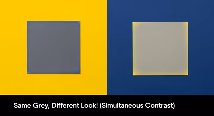 chameleon effect